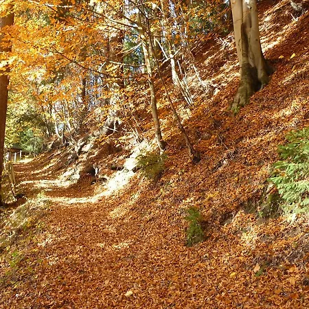 Haus Sonnegg Apartamento Fieberbrunn